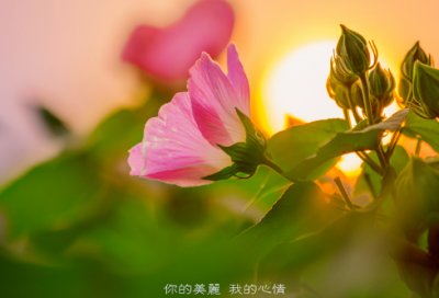 ​软萌少女系列网名(168个)