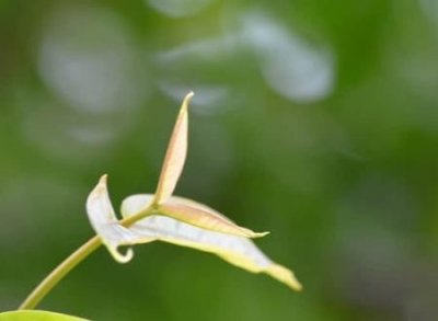 ​冷酷无情的冰冷昵称，痛到心碎的微信伤感网名