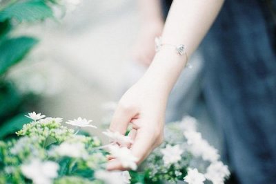 ​励志名言海贼王(112句)