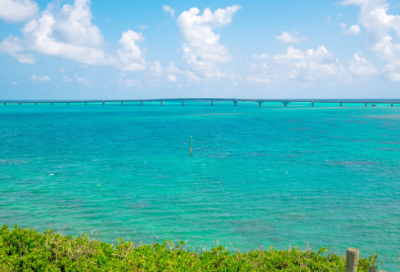 ​鲁迅名人名言 鲁迅名人名言大全经典励志(精选30句)