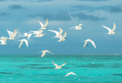 ​传承经典文化的名言 彰显中国力量名言(精选30句)