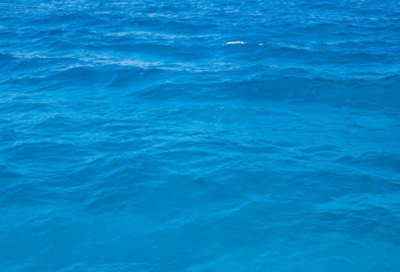 曾国藩经典励志名言 曾国藩励志名言(精选30句)