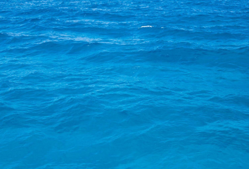 1687284431928023.png image.png