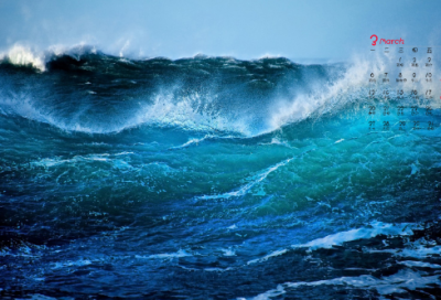 精选的关于制度的名言大全(制度方面的经典名言)