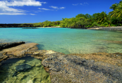 缅怀先烈的经典名言11句