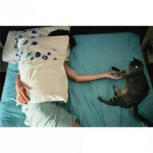 ​霸气句子女生版简短（诗经中形容女子霸气的句子）