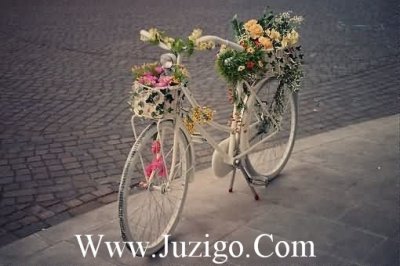 ​诗意满满的个性签名诗意满满的网名(精选34句)