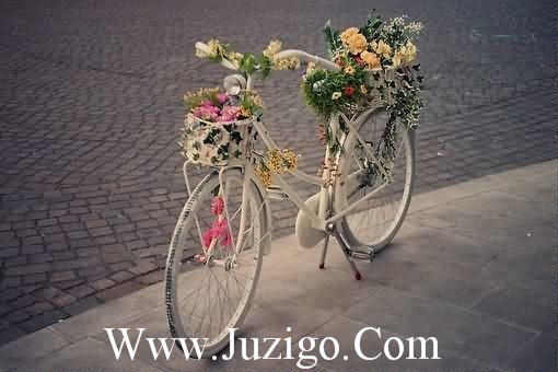 诗意满满的个性签名诗意满满的网名(精选34句)