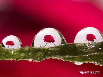 ​感慨半生已过的诗词(这九首诗词，读懂已过半生)