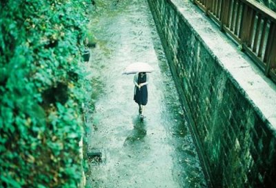 ​优美富有诗意的句子