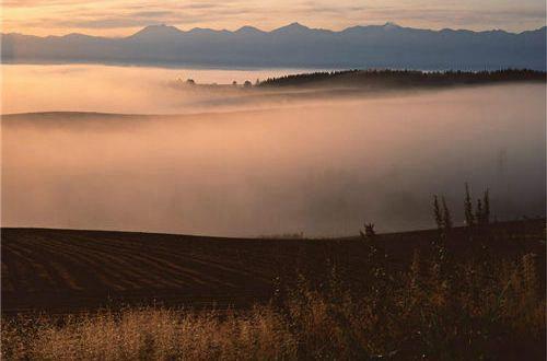 2017励志诗意的句子