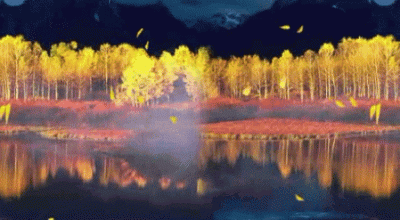 ​最美八月的诗词句子：秋风微凉，一念悠长