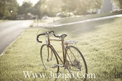 关于爱情的现代诗 抒情的句子 唯美 现代 爱情