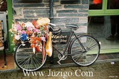 ​带雨的诗句大全400首带雨字的诗句大全(精选200句)