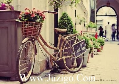 ​艾青诗选好词好句好段摘抄(精选54句)