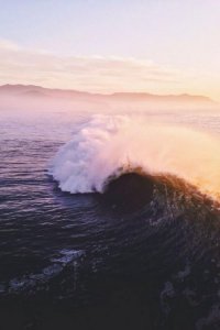 ​诗经歌颂友情的句子