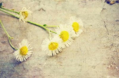 ​qq个性签名古风诗意