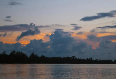​最经典的菊花诗词（十首经典咏菊花诗词）