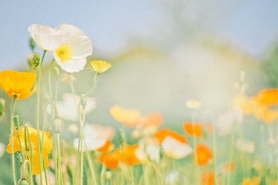 感受大自然的句子87句