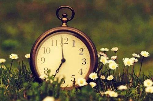 描写五月景色的优美句子