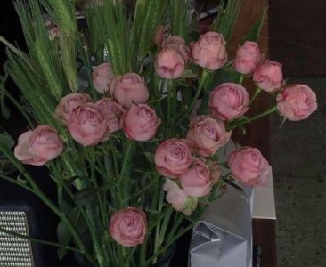 ​作文开头结尾优美句子