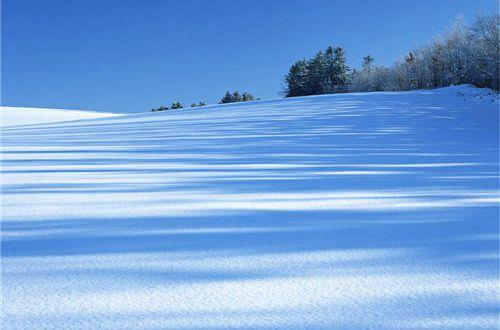 作文开头结尾优美句子