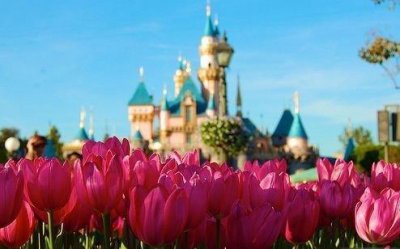 ​秋雨的唯美句子81句