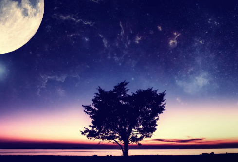 1686526913234135.png image.png