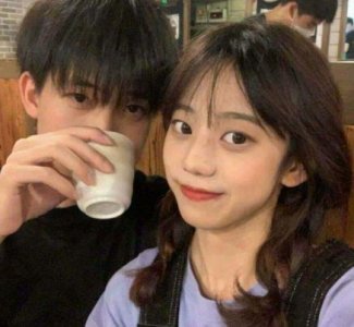 树的唯美句子102句