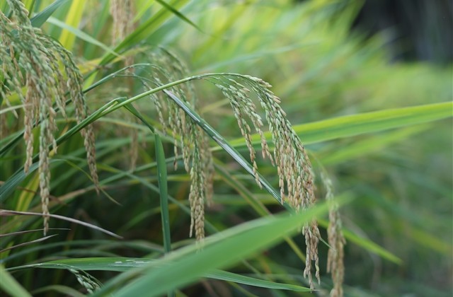 好看的网名符号搭配(共168个) 好看的网名符号搭配(共168个)