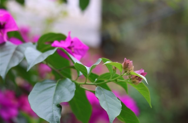 女生温柔网名大全(共227个) 女生温柔网名大全(共227个)