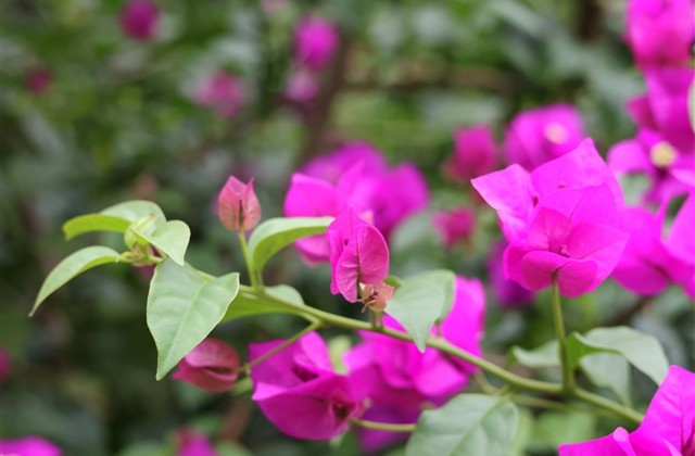 唯美好看的qq网名(优选198个) 唯美好看的qq网名(优选198个)