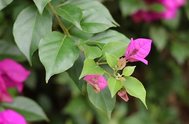 唯美好看的qq网名(优选198个) 唯美好看的qq网名(优选198个)