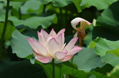 ​青春年少的qq网名 关于青春的网名简短