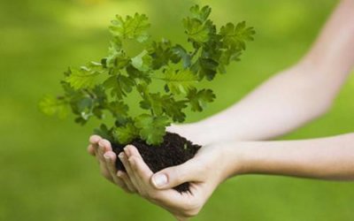 ​好听的12字网名大全（超级好听的昵称12字）