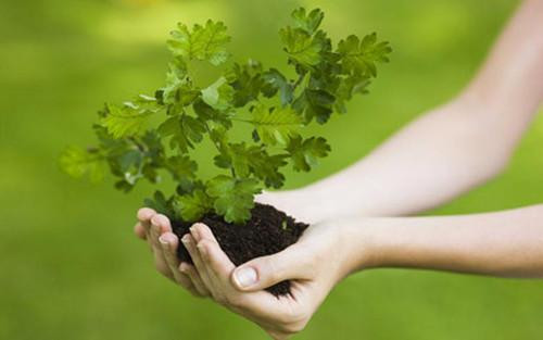 好听的12字网名大全（超级好听的昵称12字）