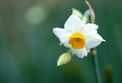 ​一听就是御姐的名字(优选96个)