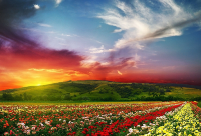 ​给胖子取个独特的昵称(精选95个)