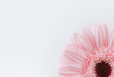 ​唯美好听的陌陌名字大全(优选86个)