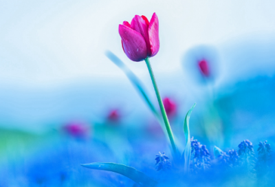 ​幸福姐妹网名大全(精选65个)