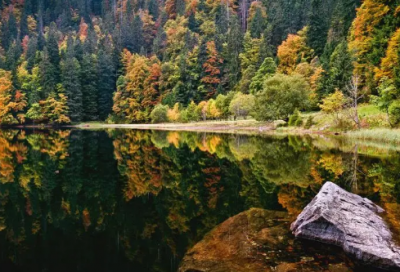 ​用刘姓编一个网名(优选108个)