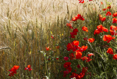 ​爱的回忆qq网名 关于回忆的qq网名