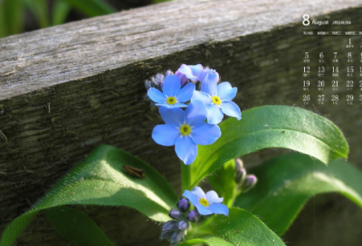 ​超好听的励志网名(共79个)
