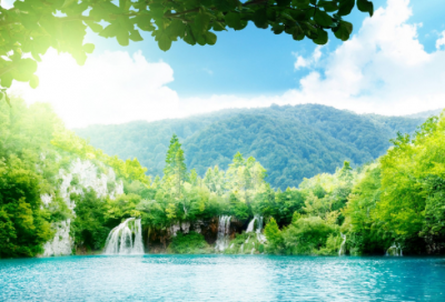 ​旅行青蛙日文名字(优选66个)