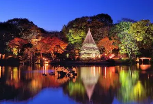 1692974648492455.png image.png