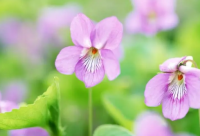 ​简单顺口的网名92个