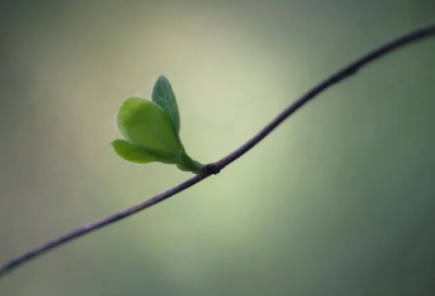 ​100个来自古诗词中的惊艳名字