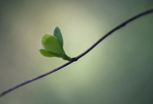 1692976642686399.png image.png