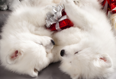 ​开茶店取个什么名字好 茶店起名大全寓意