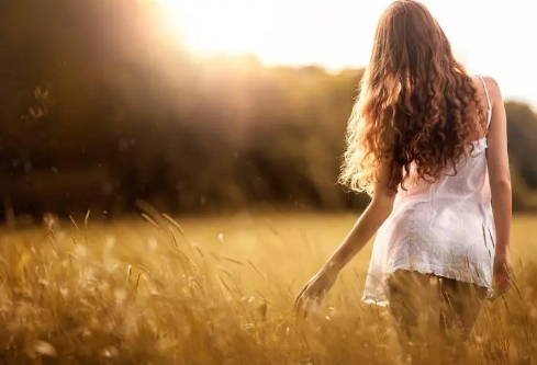 1688829688310216.png image.png